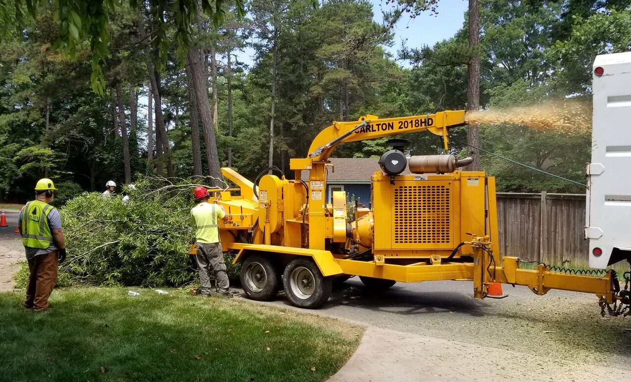 Featured image for “Land Clearing Services”