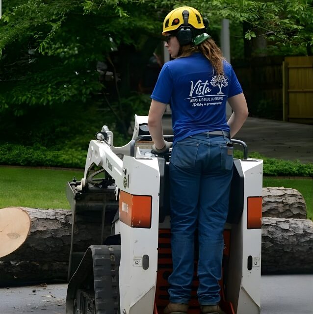 Land clearing services using equipment to remove trees and brush for site preparation