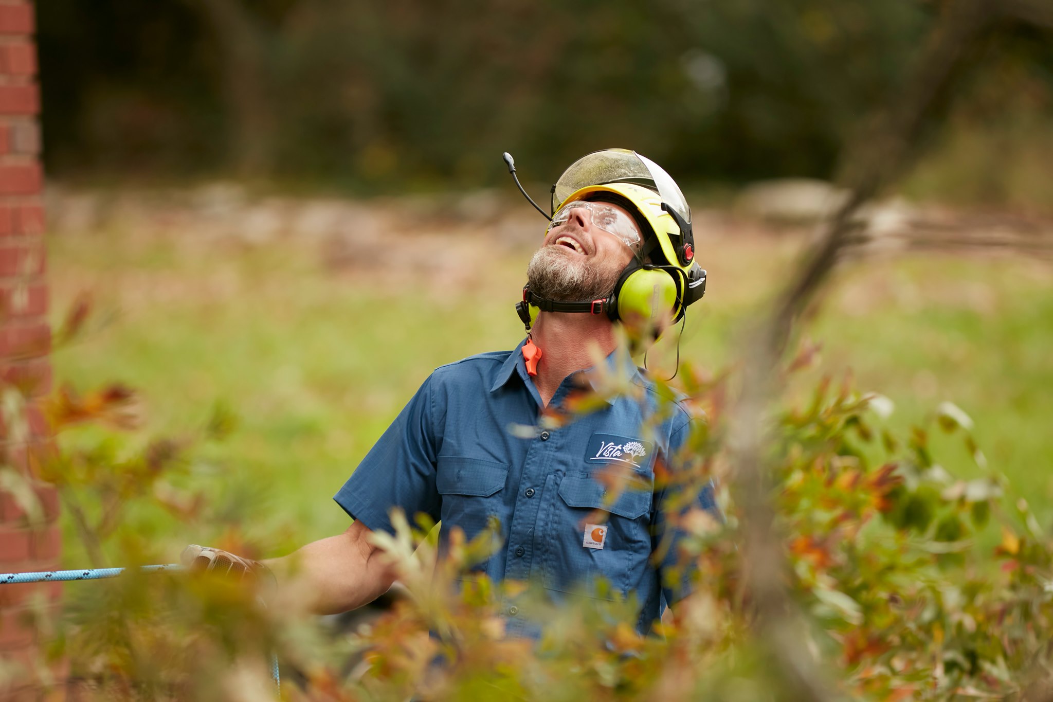 Featured image for “Tree Removal Services”