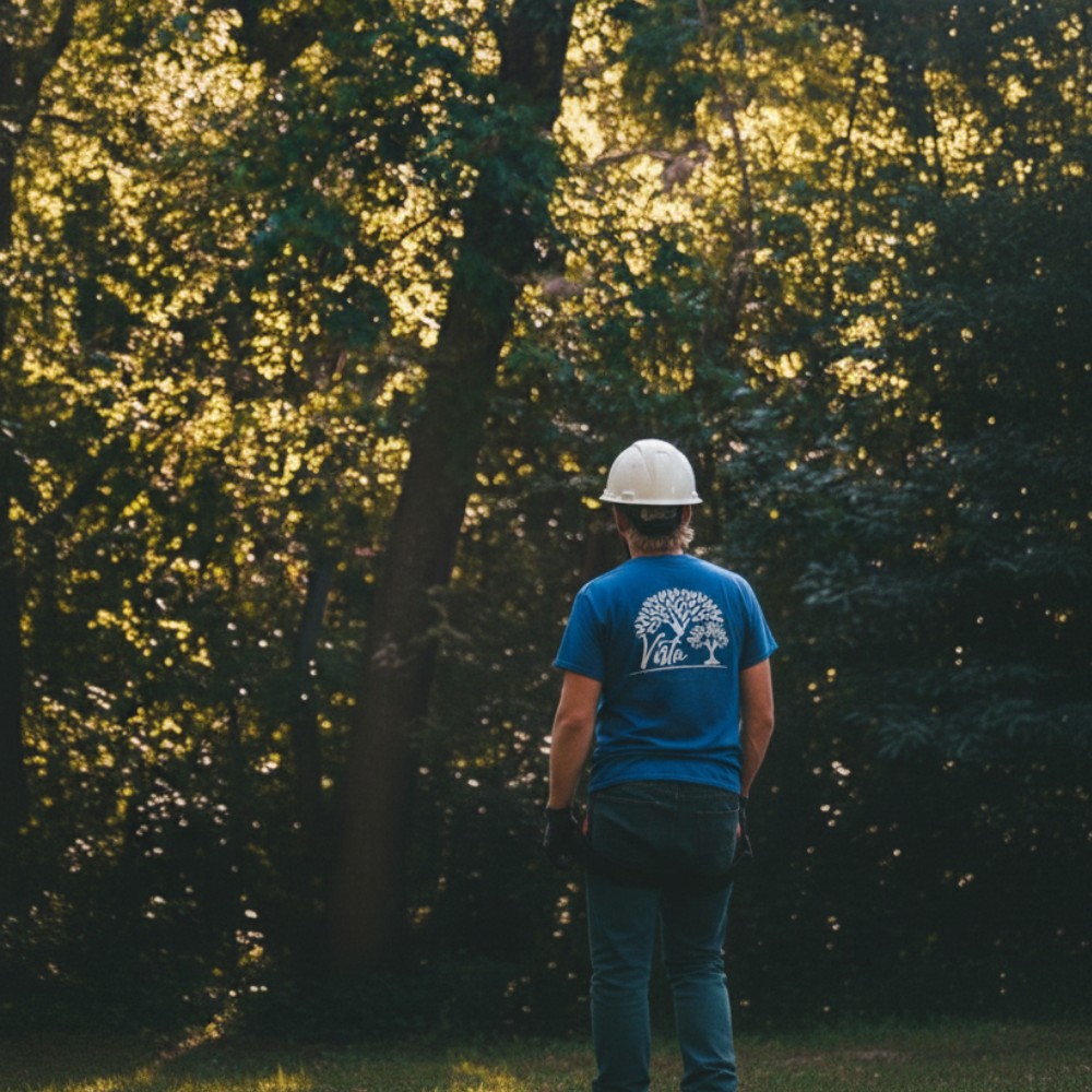 Featured image for “Arborist Plant Health Care Services”