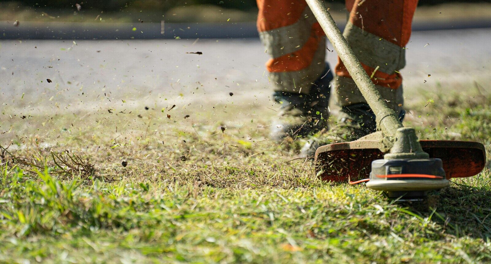 Featured image for “Residential Landscaping Services”