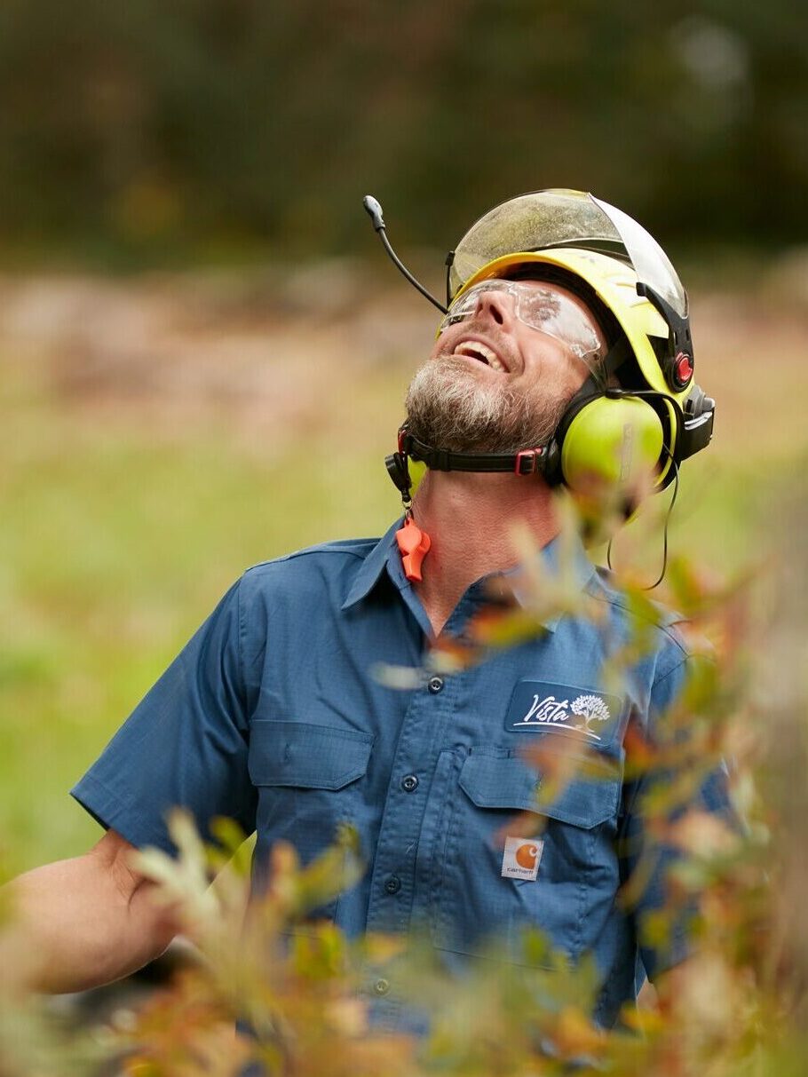ISA certified arborist inspecting tree canopy for signs of stress or disease