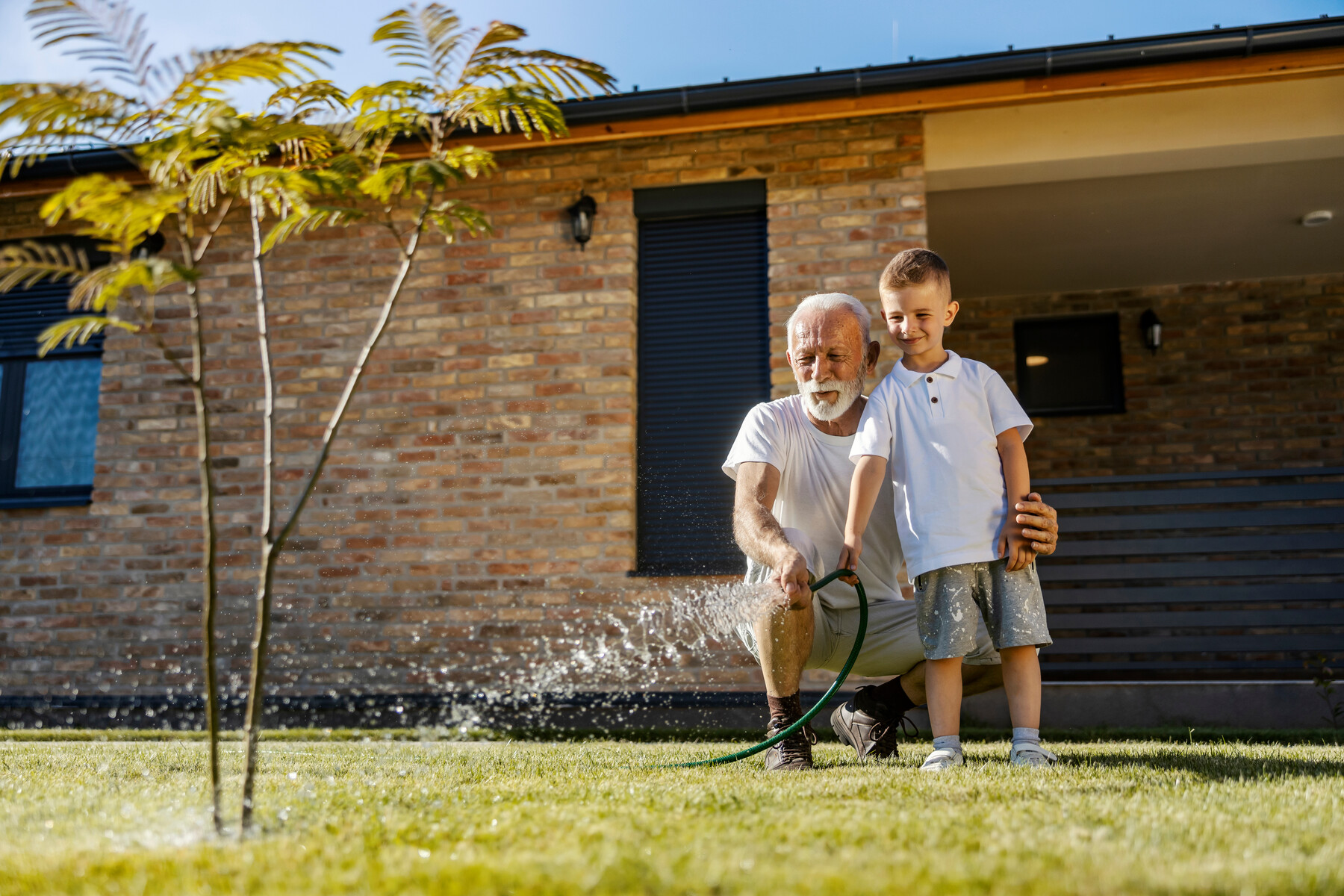 Featured image for “Lawn Care Tips for Summer in NC”
