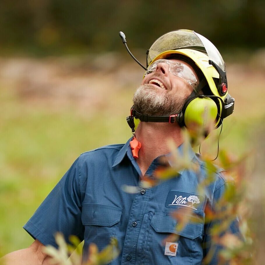 ISA Certified Arborist inspecting trees as part of sustainable landscape care