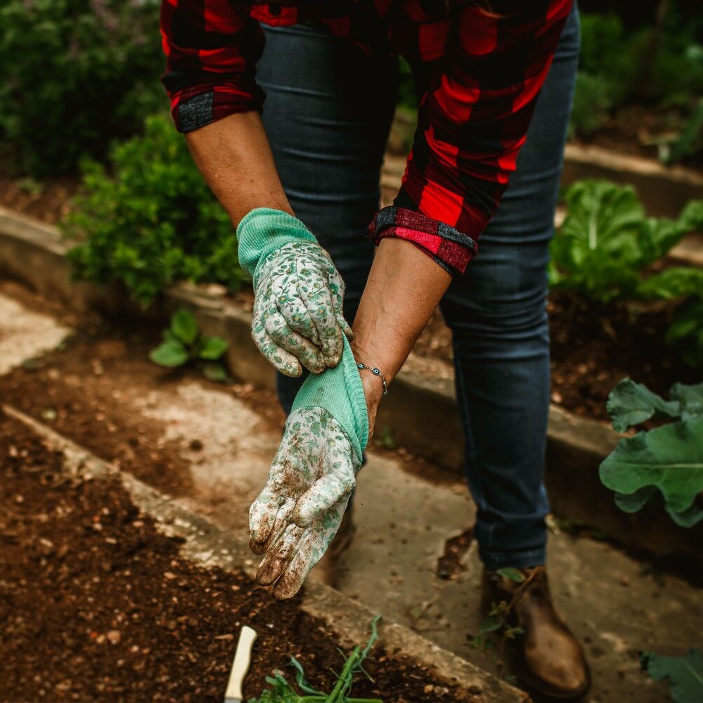 Organic mulch improving soil health as part of eco friendly lawn care